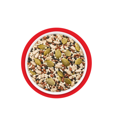 Seeds