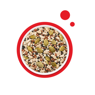 Seeds